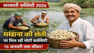 तालाब में मखाना की खेती करते भारतीय किसान, Government Subsidy 2026 के तहत मखाना पर मिलने वाली सरकारी सब्सिडी