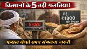 फसल बेचते समय किसान द्वारा की जाने वाली गलतियाँ, जिनसे मंडी में फसल का सही दाम नहीं मिल पाता
