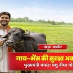 गाय-भैंस की असमय मृत्यु का डर खत्म! जानिए कैसे कराएं मुख्यमंत्री मंगला पशु बीमा और पाएं ₹40,000 तक की सुरक्षा