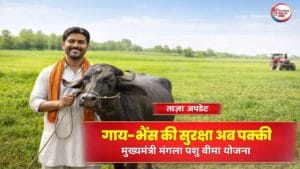 खेत में भारतीय किसान भैंस के साथ खड़ा हुआ, किसान अपडेट और सरकारी पशु बीमा योजना से जुड़ी जानकारी का दृश्य