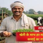 खेती के साथ करें ये 3 छोटे काम, हर महीने होगी अलग से कमाई; जानें कैसे शुरू करें