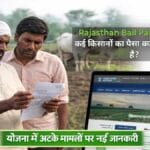 Rajasthan Bail Palan Sahayata Yojana 2026: कई किसानों का पैसा क्यों अटक जाता है? सही वजह जानें