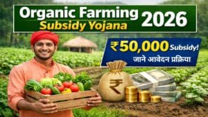 Organic farming concept image related to subsidy scheme